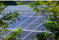 Nặng! Bộ Tài chính Hoa Kỳ: Các dự án năng lượng mặt trời sử dụng tế bào quang điện của Trung Quốc có thể nộp đơn xin trợ cấp IRA