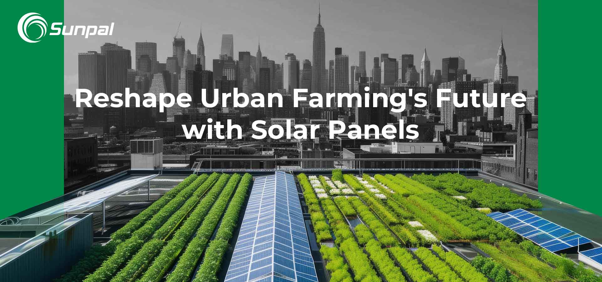 Mái nhà năng lượng mặt trời: Định hình lại tương lai của nông nghiệp đô thị
